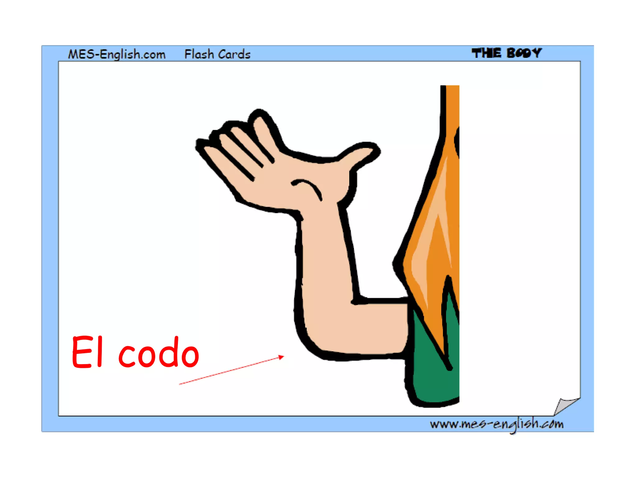 El codo