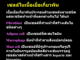 เซลล์ในเนื้อเยื่อเกี่ยวพัน เนื้อเยื่อเกี่ยวพันประกอบด้วยเซลล์หลายชนิด   แต่ละชนิดทำหน้าที่แตกต่างกันไป   ได้แก่ F ibroblast   เป็นเซลล์ที่ทำหน้าที่สร้างเส้นใยชนิดต่างๆ Adipose cell   เป็นเซลล์ที่สะสมไขมัน   Macrophage   มีหน้าที่ทำลายสิ่งแปลกปลอม Mast cell   เป็นเซลล์ที่มีรูปร่างกลมหรือรูปรี   ภายในมีแกรนูลย้อมติดสีม่วงเข้มบรรจุอยู่   เซลล์มาสต์ทำหน้าที่สร้างสาร   heparin   และ   histamine 
