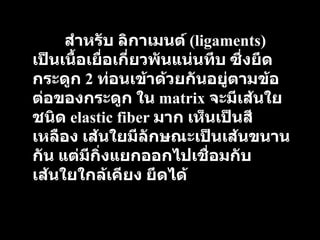สำหรับ   ลิกาเมนต์   (ligaments)  เป็นเนื้อเยื่อเกี่ยวพันแน่นทึบ   ซึ่งยึดกระดูก   2  ท่อนเข้าด้วยกันอยู่ตามข้อต่อของกระดูก   ใน   matrix  จะมีเส้นใยชนิด   elastic fiber  มาก   เห็นเป็นสีเหลือง   เส้นใยมีลักษณะเป็นเส้นขนานกัน   แต่มีกิ่งแยกออกไปเชื่อมกับเส้นใยใกล้เคียง   ยึดได้ 