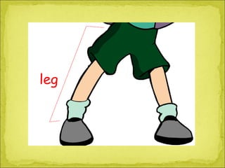 leg 
