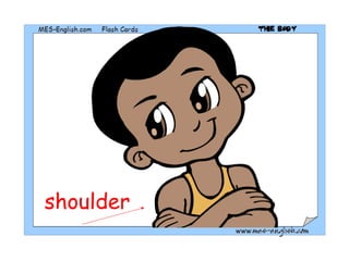 shoulder 