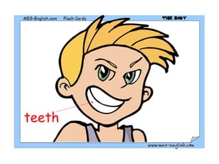 teeth 