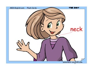 neck
 