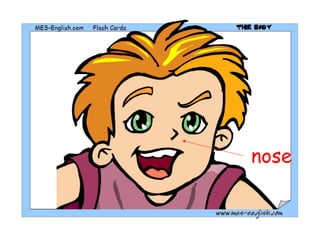 nose
 