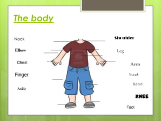The body
Neck

Shoulder
Leg

Chest

Finger

Arm
Stomach
Hand

Knee
Foot

 
