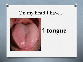 On my head I have….
1 tongue