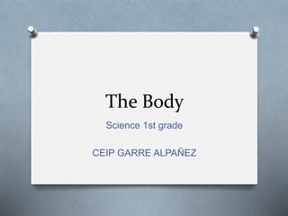The Body
Science 1st grade
CEIP GARRE ALPAÑEZ
 