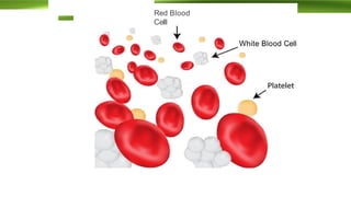 Body Fluid Rbc Diff Comprehensive Overview of Body Fluids and Blood: Composition, Functions ...