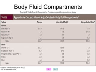 Body Fluid And Electrolyte Balance | PPT