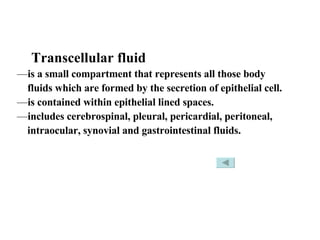 <ul><li>Transcellular fluid   </li></ul><ul><li>is a small compartment that represents all those body  </li></ul><ul><li>f...