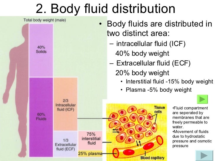 body fluid compartments measurement chemicals body fluid compartments measurement chemicals