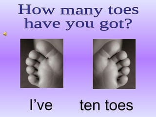 Body.interactive powerpoint | PPT