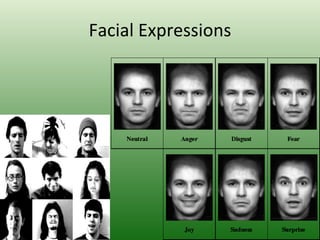 Facial Expressions 