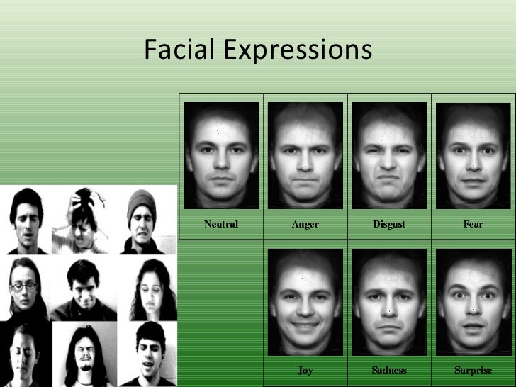 Body Language And Facial Expressions 58
