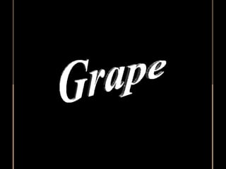 Grape 