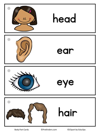 Body part-word-cards | PDF