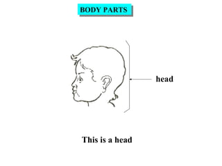 head
This is a head
BODY PARTSBODY PARTS
 
