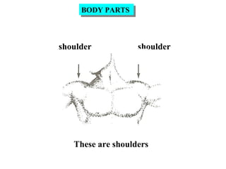 shoulder
These are shoulders
shoulder
BODY PARTSBODY PARTS
 
