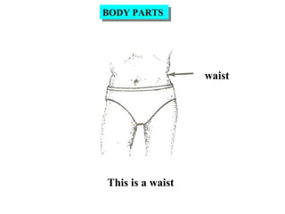 waist
This is a waist
BODY PARTSBODY PARTS
 