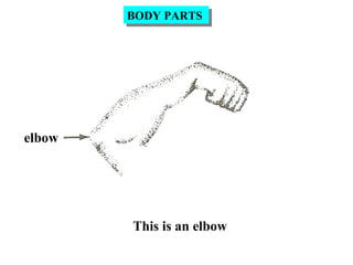 elbow
This is an elbow
BODY PARTSBODY PARTS
 