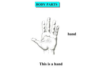 hand
This is a hand
BODY PARTSBODY PARTS
 