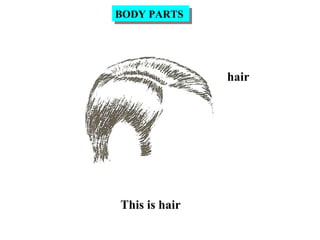 hair
This is hair
BODY PARTSBODY PARTS
 
