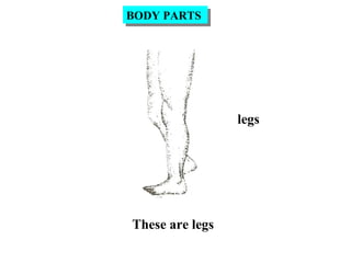 legs
These are legs
BODY PARTSBODY PARTS
 
