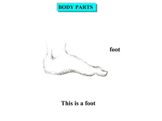 foot
This is a foot
BODY PARTSBODY PARTS
 