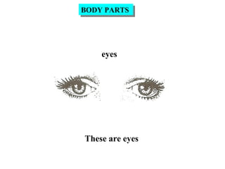 eyes
These are eyes
BODY PARTSBODY PARTS
 