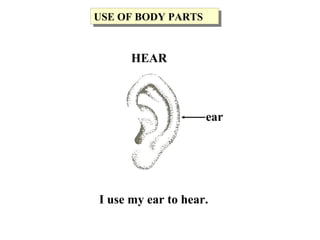 I use my ear to hear.
ear
USE OF BODY PARTSUSE OF BODY PARTS
HEAR
 