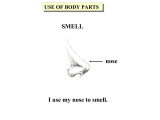 I use my nose to smell.
nose
USE OF BODY PARTSUSE OF BODY PARTS
SMELL
 