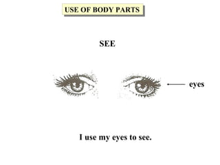 I use my eyes to see.
eyes
USE OF BODY PARTSUSE OF BODY PARTS
SEE
 