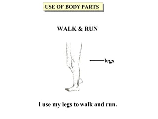 I use my legs to walk and run.
legs
USE OF BODY PARTSUSE OF BODY PARTS
WALK & RUN
 