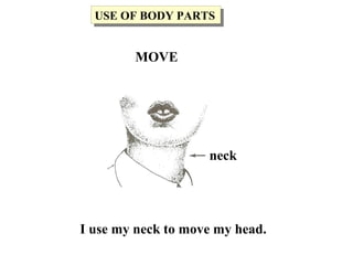 I use my neck to move my head.
neck
USE OF BODY PARTSUSE OF BODY PARTS
MOVE
 