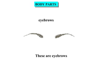 eyebrows
These are eyebrows
BODY PARTSBODY PARTS
 