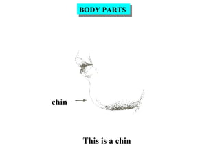 chin
This is a chin
BODY PARTSBODY PARTS
 