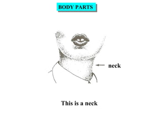 neck
This is a neck
BODY PARTSBODY PARTS
 