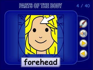 body-parts-ppt-flashcards-fun-activities-games-picture-dictionari_51890.ppt