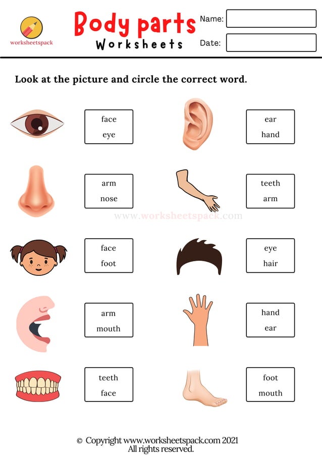 Body-parts-worksheets-circle-the-correct-word.pdf