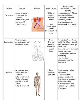 System 
Function 
Diagram 
Major Organs 
Interactions- 
Working with Other 
Systems 
Excretory 
1. removes waste 
products from 
cellular 
metabolism (urea, 
water, CO2) 
2. filters blood 
Kidneys 
Ureters 
Bladder 
Urethra 
Lungs 
Skin – sweat 
glands 
Liver (produces 
urea) 
1. w/circulatory – filters 
waste out of blood 
2. w/lungs – removes 
excretory waste 
3. w/integumentary – 
removes excretory waste 
Respiratory 
Takes in oxygen 
and removes carbon 
dioxide and water 
Nose 
Trachea 
Bronchi 
Bronchioles 
Alveoli 
lungs 
1. w/circulatory – takes 
in O2 for delivery to cells 
and removes CO2 brought 
from cells 
2. w/excretory – removes 
excretory waste 
3. w/nervous – controls 
breathing 
4. w/muscular – 
diaphragm controls 
breathing 
Skeletal 
1. protects organs 
2. provides shape, 
support 
3. stores materials 
(fats, minerals) 
4. produces blood 
cells 
5. allows movement 
Bones 
Cartilage 
ligaments 
1. w/muscular – allow 
movement 
2. w/circulatory – 
produce blood cells 
3. w/immune – produce 
white blood cells 
4. w/circulatory and 
respiratory – protects 
it’s organs 
 