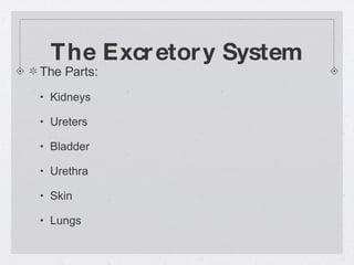 The Excretory System The Parts: Kidneys Ureters Bladder Urethra Skin Lungs 