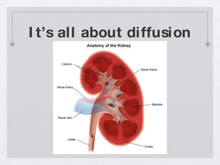 It’s all about diffusion 