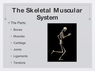 The Skeletal Muscular System The Parts: Bones Muscles Cartilage Joints Ligaments Tendons 