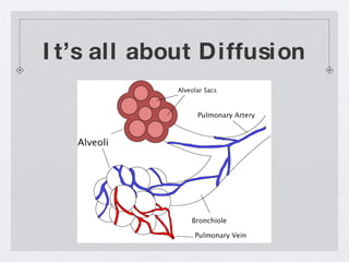 It’s all about Diffusion 