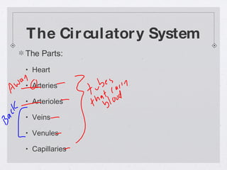 The Circulatory System The Parts: Heart Arteries Arterioles Veins Venules Capillaries 