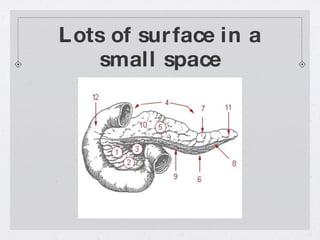 Lots of surface in a small space 