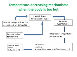 Temperature-decreasing mechanisms
when the body is too hot
Vasodilation
Sweating
decrease in thermogenesis (heat production).
Increase in body
temperature
Preoptic & Ant.
Hypothalamic nuclei
Inhibition of Sympathetic
nervous system
Warmth receptors from skin
deep viscera are stimulated
Normal body
temp
Set point: 370C
Posterior
hypothalamus
 