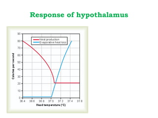 Response of hypothalamus
 