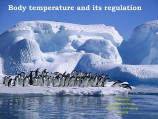 Body temperature and its regulation
S. Vasanthan
Assistant professor
Department of physiology
MGMCRI
 
