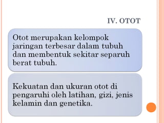 IV. OTOT

 